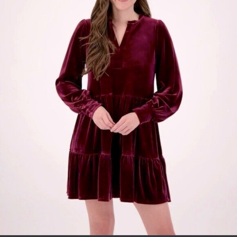 1 State Velvet Dress